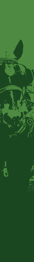 Heavy horse wanham banner
